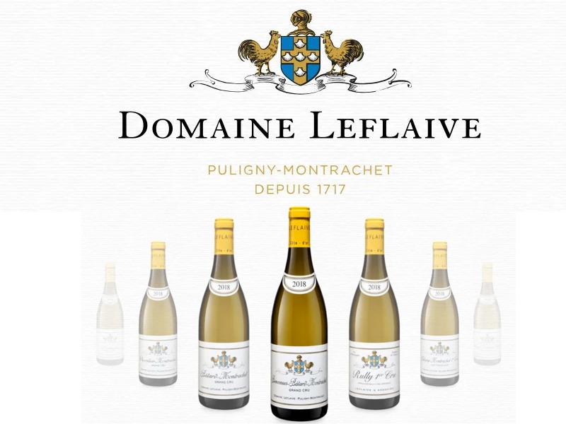 これぞ世界最高峰の白ワイン! この秋の食卓に絶対並べたい、ドメーヌ・ルフレーヴ2018年のおいしさの秘密を探る